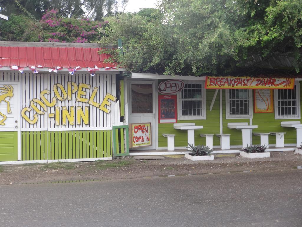 Cocopele Inn San Ignacio Kültér fotó