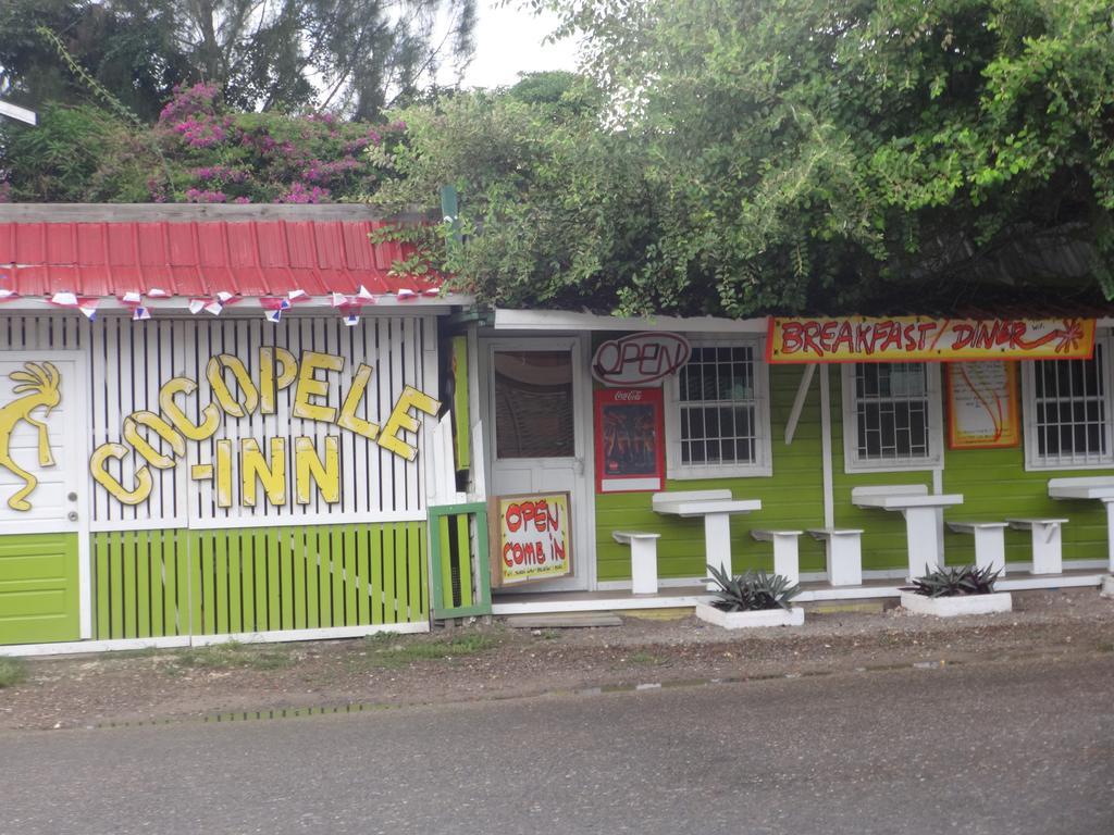 Cocopele Inn San Ignacio Kültér fotó
